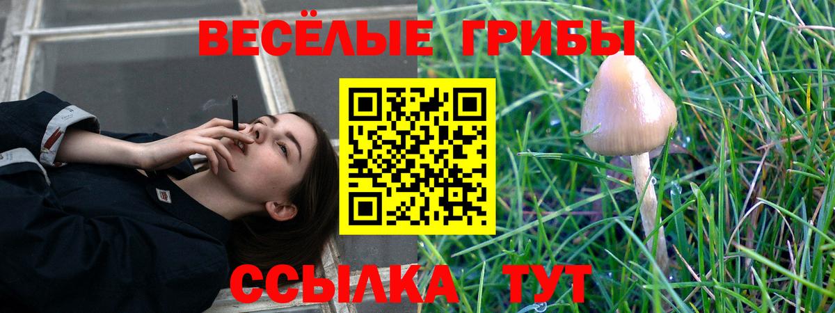 Псилоцибиновые грибы прущие грибы  Вход с VPN  Ижевск  Галлюциногенные грибы ЛСД 